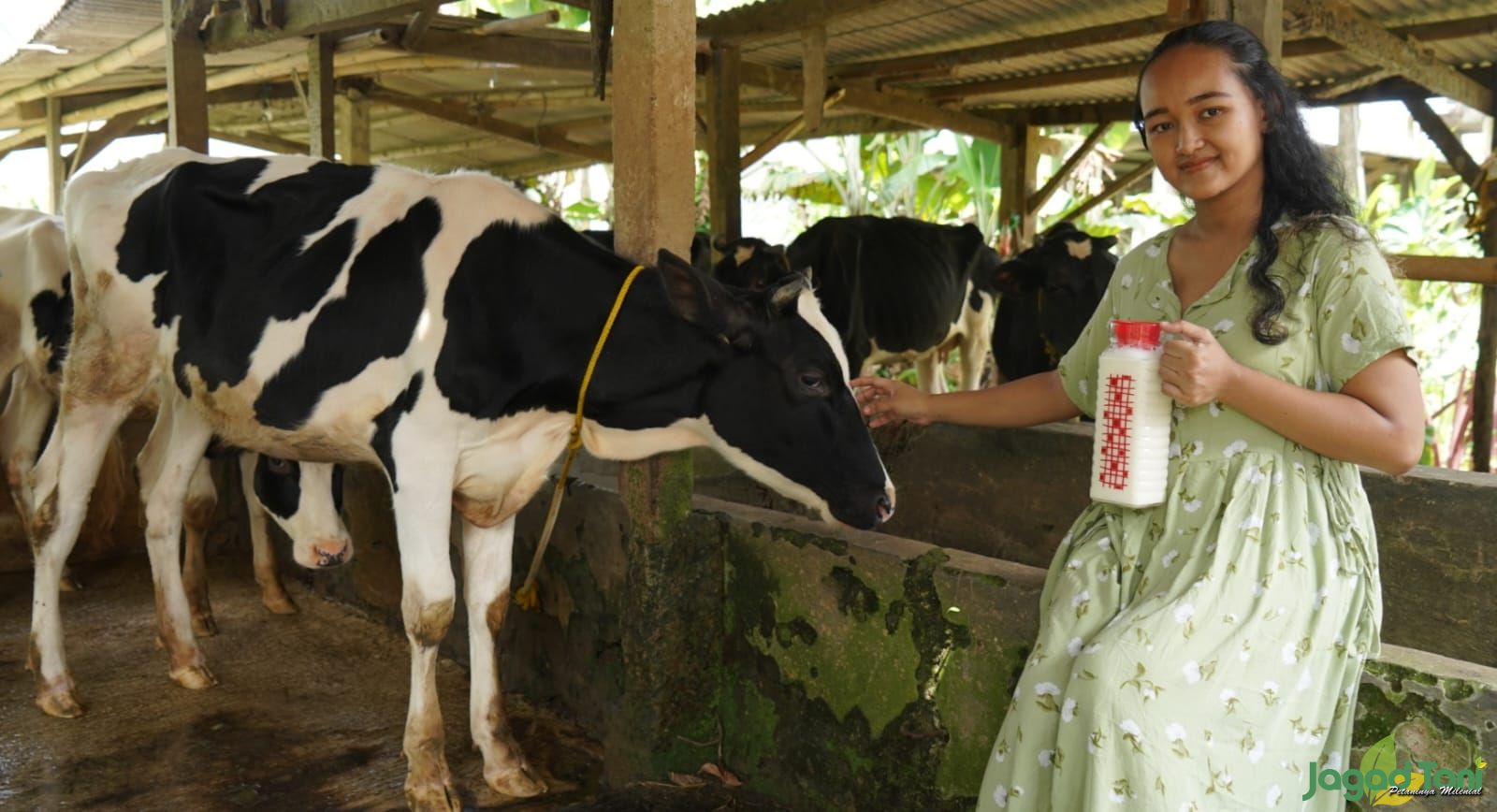 Lisawati Anggraeni pemilik Naura Fresh Milk 