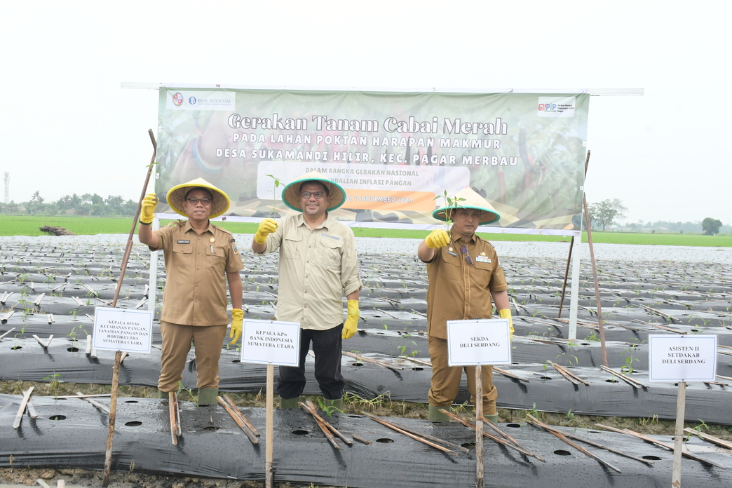 Foto: Pemerintah Kabupaten Deli Serdang