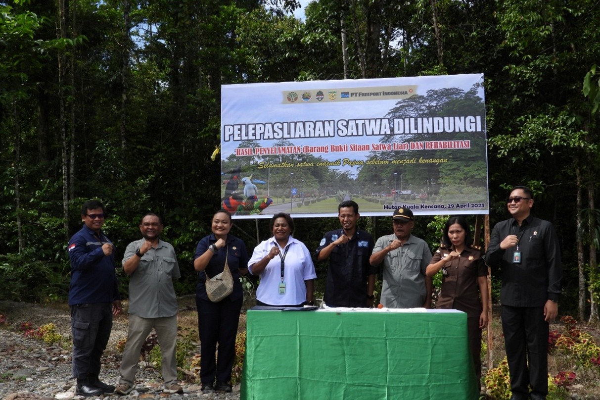 22 burung dilepasliarkan bbksda papua di hutan kuala kencana
22 burung dilepasliarkan bbksda papua di hutan kuala kencana