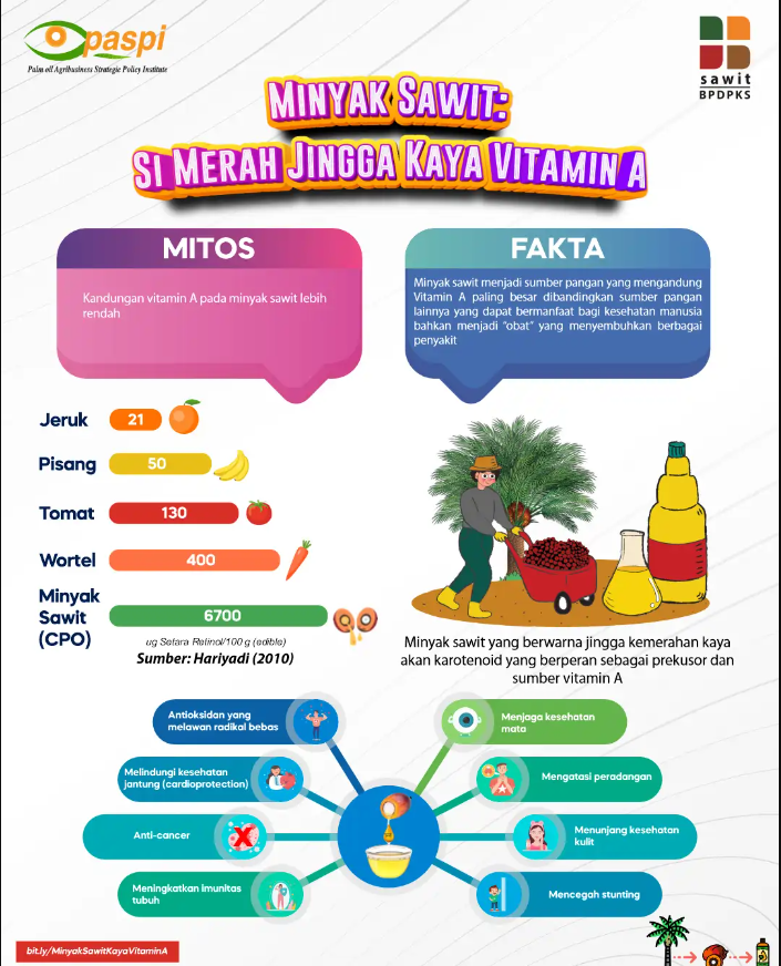 Sawit kaya akan vitamin A (foto: bpdp) Sawit kaya akan vitamin A (foto: bpdp)